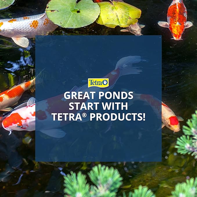 TetraPond Pond Sticks Pond Fish Food for Goldfish and Koi, Healthy Nutrition Clear Water Pond Food