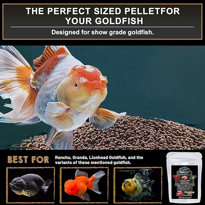 Bubble Magus Sinking Goldfish Food, Color Enhancing, Balanced Diet, All Natural Ingredients, Clear Water Formula, Slow Sinking Gold Fish Pellets, Goldfish Ultra Color （2oz）