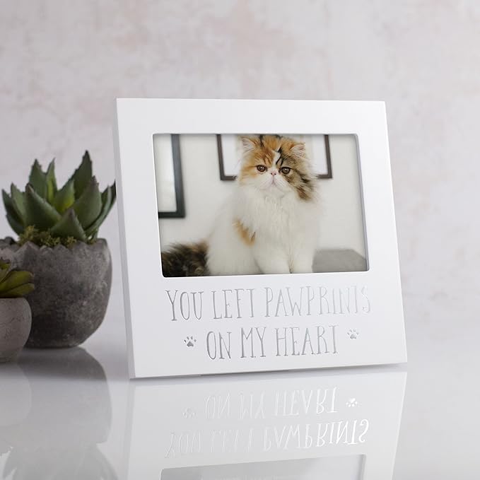 Pearhead “You Left Pawprints on My Heart” Pet Memorial Picture Frame, Dog or Cat Sympathy Gift, Pet Loss Keepsake, 4x6 Photo Frame, White