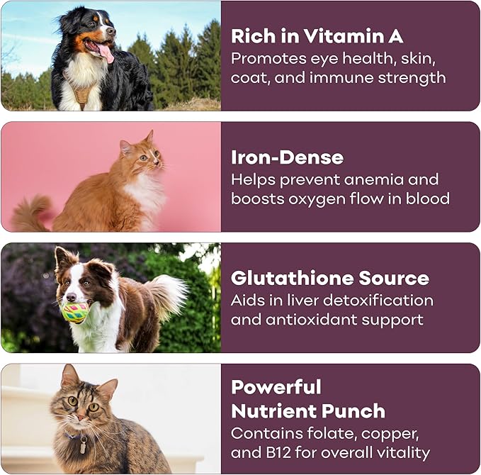 Skona PetFood Beef Liver Jerky - Single Ingredient Dog & Cat Treats, High Protein Training Snacks, USA Made, 4oz