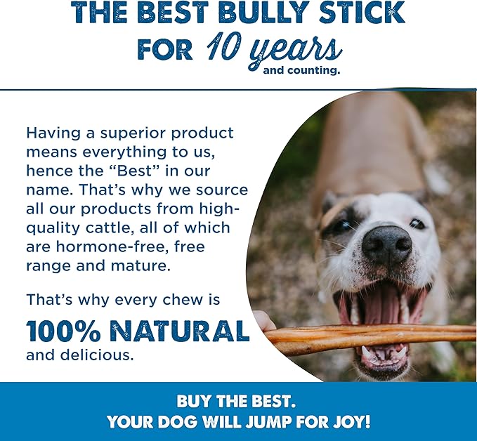 Best Bully Sticks 6 Inch Bully Sticks for Dogs - 15 Count (Pack of 1) - Natural, Easily Digestible, 100% Grass-Fed Beef, Grain and Rawhide Free