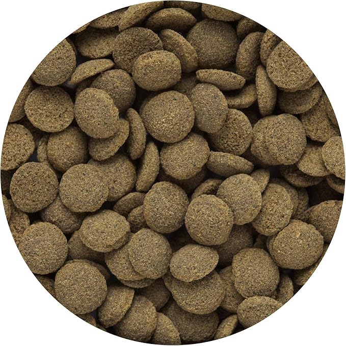 Hikari Sinking Wafers for Pets, 1.76-Ounce