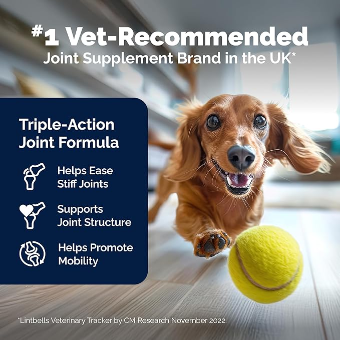 Yumove Hip & Joint Supplement for Dogs with Glucosamine, Hyaluronic Acid, Green Lipped Mussel & Omega 3 Joint Supplement - Regular or Advanced Strength (180 Count, Advanced Vet Strength Soft Chews)