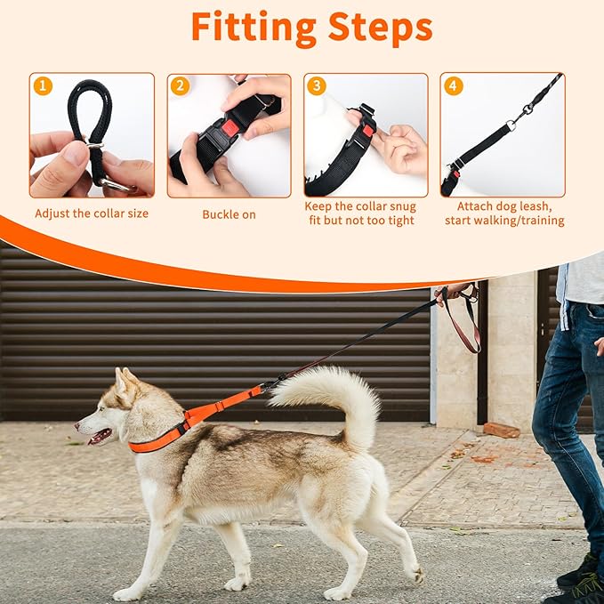 Mayerzon Martingale No Pull Collar for Medium Large Dogs, Patented Anti Pull Dog Collar with Buckle for Walking Training, with Neoprene Padding and Reflective Stitching, Adjustable(Sunset Orange, L)