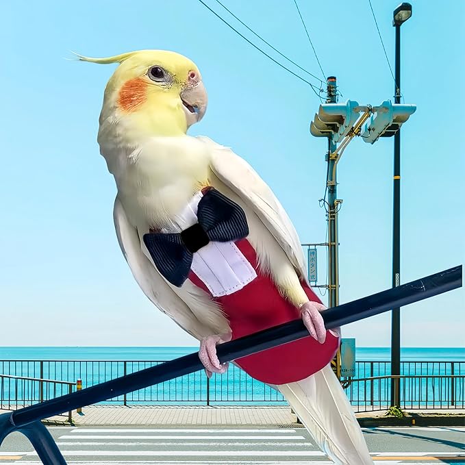 Bird Diapers with Bow Bird Harness Tuxedo Flight Suits with 80in Flying Leash Parrot Nappy with Waterproof Inner Layer Urine Wet Suite for Cockatiel Conure Parakeet Macaw Budgie-Red,L