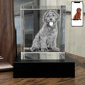 Dog Memorial Gifts for Pet Loss – Personalized Crystal Photo for Dogs & Cats, Custom Laser Etched Crystal (Medium-Portrait)