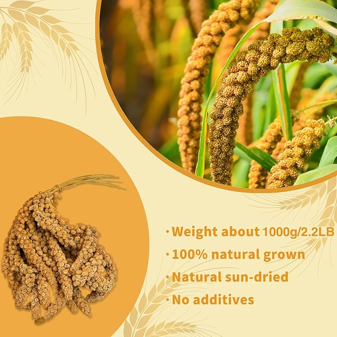 Fhiny Millet Spray for Birds, 2.2LB Natural Sun-Dried Millet for Birds Original Parakeet Food & Treats Spray for Parakeets Parrots Cockatiels Lovebirds Finches Budgies Hamsters