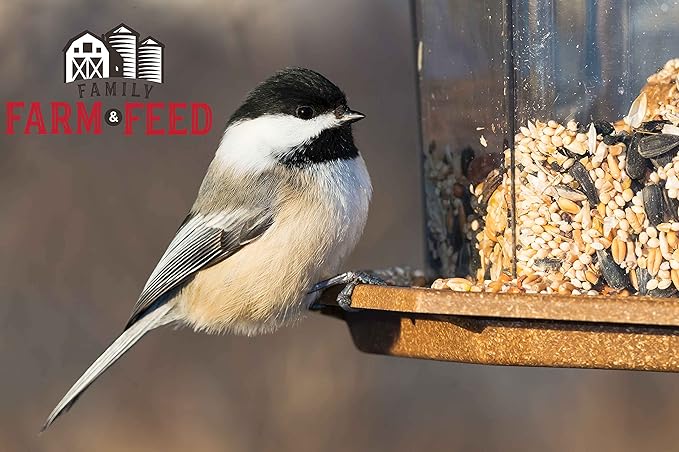 | Four Season | City Blend | Fancy Wild Bird Food | Backyard Songbird| 4 Pounds