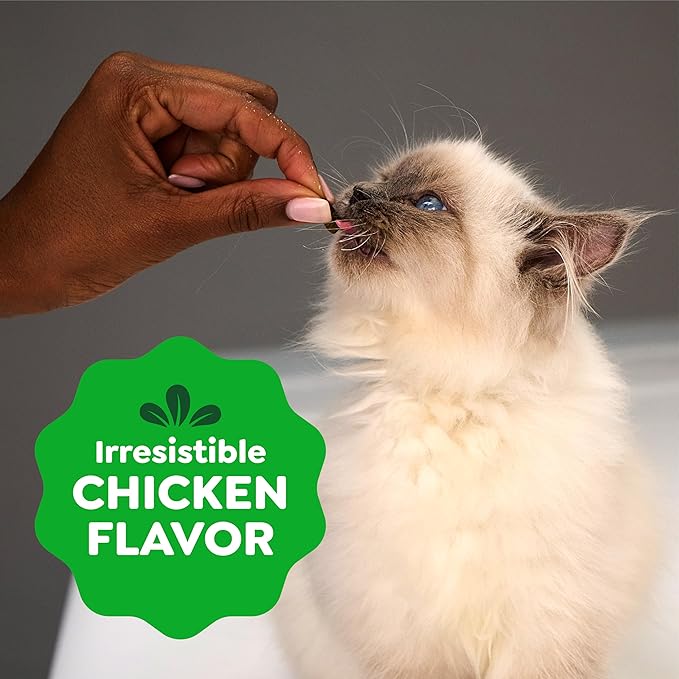 Greenies Feline Smartbites Healthy Kitten Treats for Indoor Kittens, Crunchy and Soft Natural Cat Treats, Chicken Flavor, 16 oz. Tub