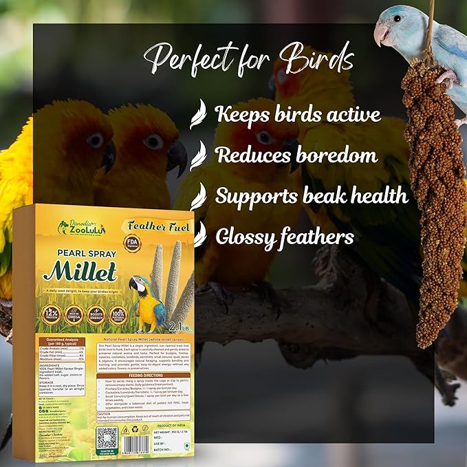 Danodia's Zoolulu Pearl Spray Millet for Birds – 600g (1.3 lbs) | All-Natural, Sun-Dried Non-GMO Treats | Hand-Selected for Parakeets/Budgies, Finches, Canaries, Cockatiels & Lovebirds