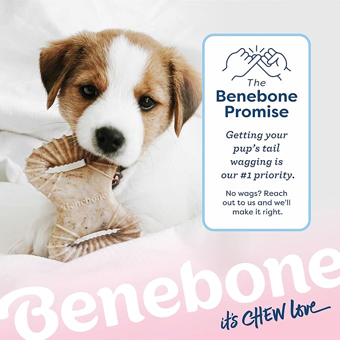 Benebone Puppy 2-Pack Dental Chew/Wishbone Real Chicken Tiny