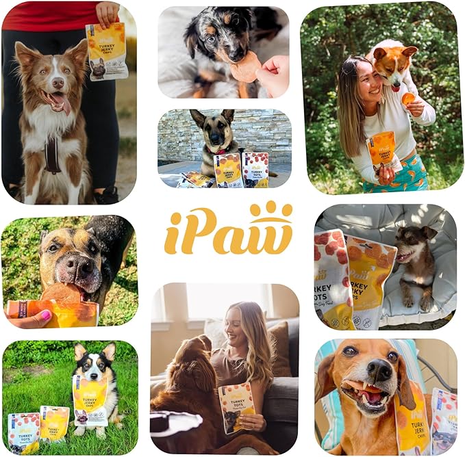iPaw 3 Value Combo Chicken Tots Dog Treats for Puppy Training, All Natural Human Grade Dog Treat, Hypoallergenic, Easy to Digest (Chicken Tots), 3 Packs