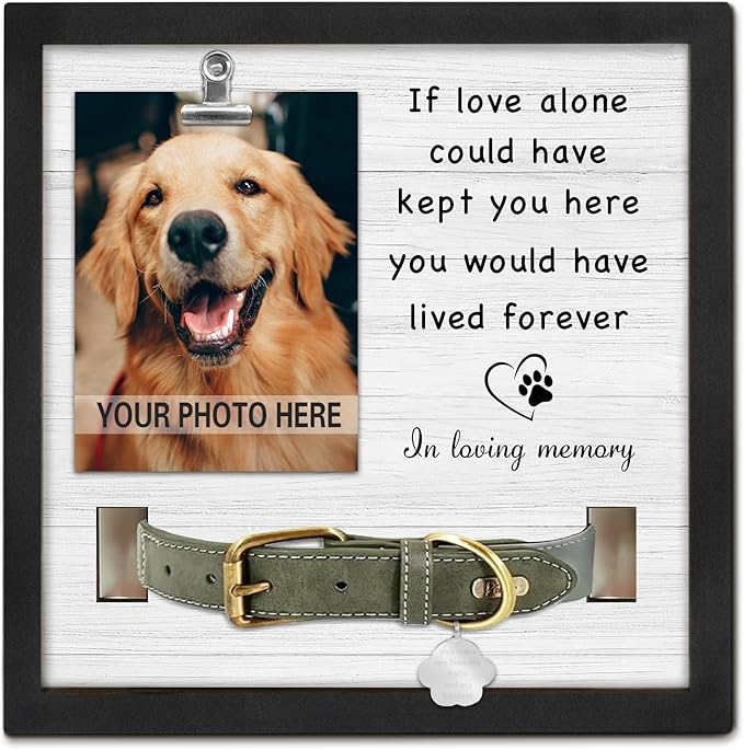Pet Loss Sympathy Gift, Memorial Gifts for Loss of Dog, Pet Memorial Frame with Collar Holder, Cat Memorial Gift, in Loving Memory