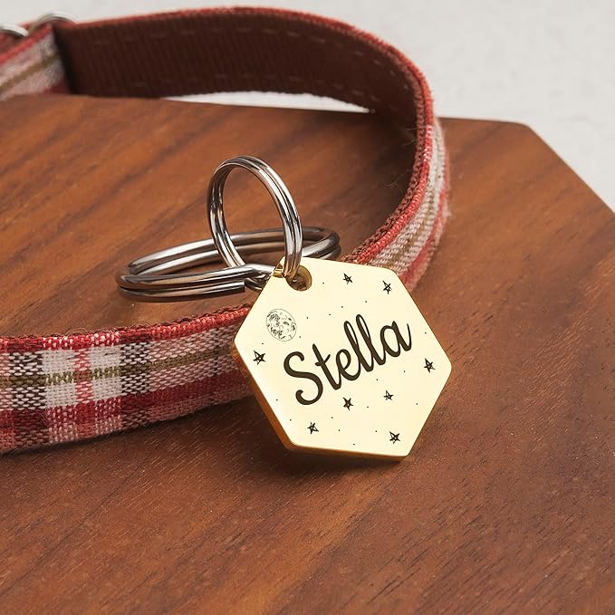 Anavia Small Size Dog Cat ID Tags, Small/XS Personalized Color Plated Stainless Steel Puppy Kitten Name Tags, Customized Engraved Nameplate Pet Collar Tag (Silver, Hexagon)