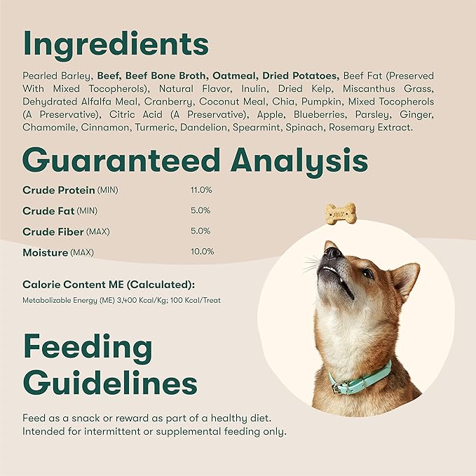 Jinx Oven-Baked Beef Bone Broth Biscuit Dog Treats - Crunchy, All Natural, Superfood-Rich with High-Protein Salmon, Dog Biscuits for Puppies, Adults & Seniors - 3LB (Pack of 4)