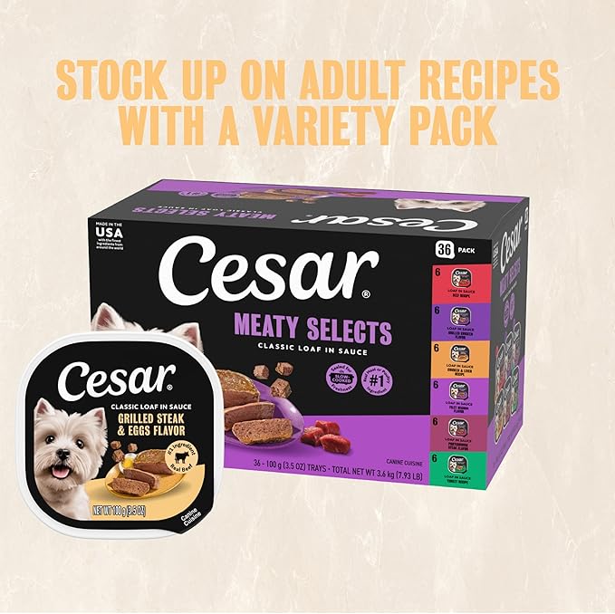 Cesar Classic Loaf in Sauce Adult Wet Dog Food Grilled Steak & Eggs Flavor, 3.5 oz. Easy Peel Trays, 24 Count (Pack of 1)