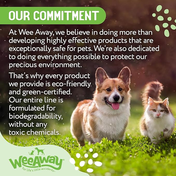 Wee Away X2 Ultra-Concentrated Stain & Strong Odor Eliminator, Enzyme Cleaner, Pet Odor Eliminator for Home - Dog Urine Destroyer - Carpet Cleaner Spray, Green Tea Scent, 16 fl oz