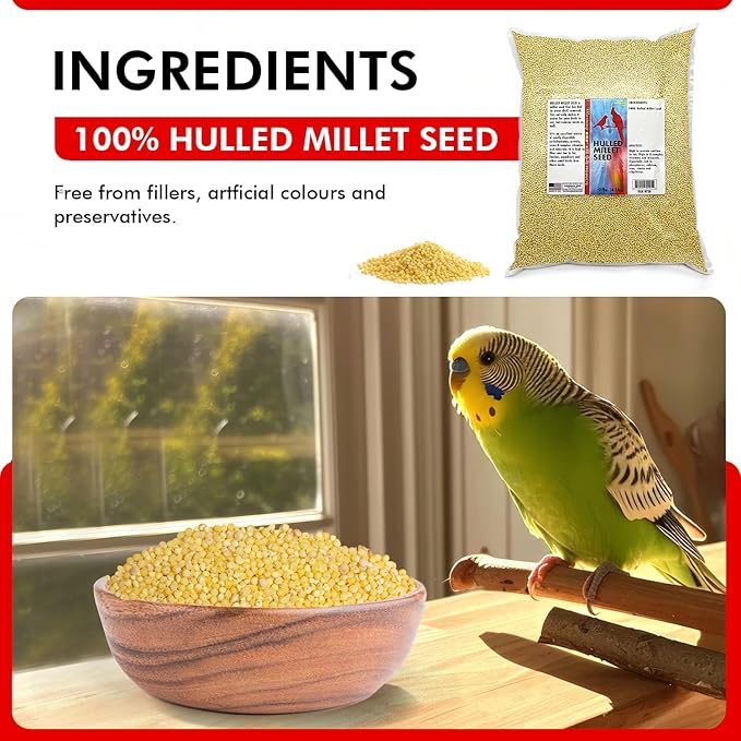 Morning Bird Hulled Millet 9 lbs – Nutritious Hulled Millet Seed - Waste Free - No Mess - Easily Digestible with High Fiber, Rich in Vitamins & Minerals for Birds, Ideal Bird Feed for All Bird Types