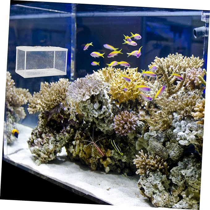 Big Size Fish Breeding Net Live Bearer Box for Aquarium Fish Incubator Suction Cups
