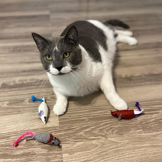 SPOT Burlap Mice Cat Toys, Interactive & Durable Catnip Toys for Indoor Cats & Kittens, Perfect for Hunting & Play, 3-Inch, Assorted Colors, 3 Pieces