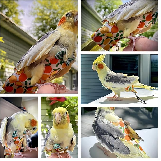 6Pcs Bird Diapers Bird Harness Flight Suits Diapers Reusable Parrot Nappy with Waterproof Inner Layer Washable Cute Urine Wet Suit Costume for Cockatiel Conure Budgie Macaw Parakeet, S