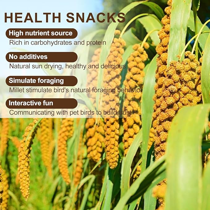 Natural Sun-Dried Spray Millet for Birds - 0.88LBS, Non-GMO Healthy Bird Treat Food for Parakeets, Cockatiels, Parrots, Lovebirds, Finches & Canaries