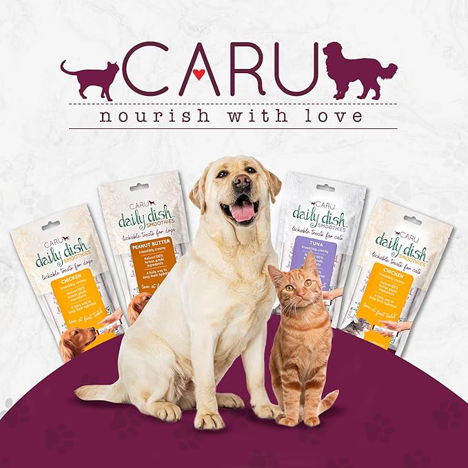 Caru - Daily Dish Smoothies - Lickable Chicken & Salmon Cat Treat - 4 Pouches per Pack - Pack of 6