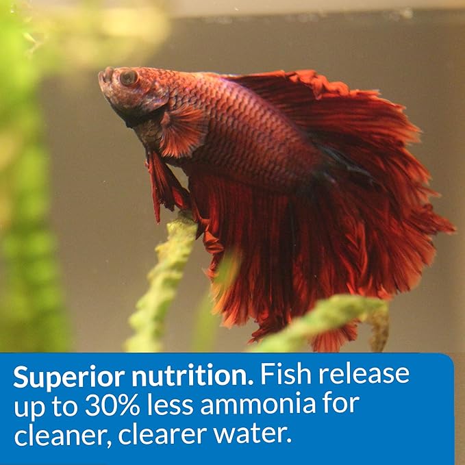 API Betta Food Fish Food Pellet .78-Ounce Container (Pack of 2)