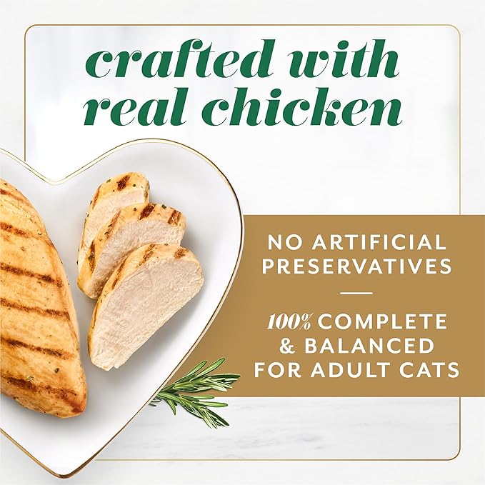 Fancy Feast Gems Pate Cat Food Mousse with Chicken and a Halo of Savory Gravy Cat Food - 4 oz. Boxes,(Pack of 16)