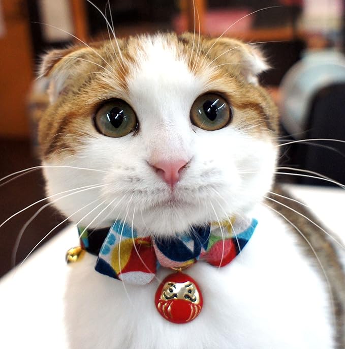 Necoichi Daruma Charm Bow Tie Cat Collar (Red)