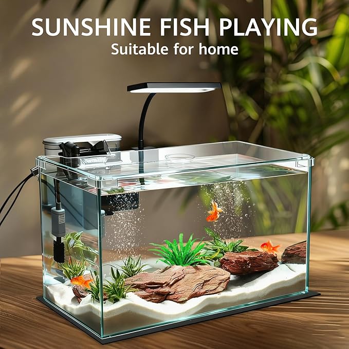 10 Gallon Glass Small Fish Tank with Filter Light and Lid, Aquarium Starter Kit