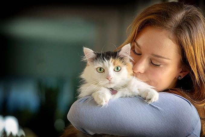 Clover Spry Cat Eye Care Support with L-Lysine, Immune & Respiratory Health Supplement, Prebiotic Antioxidant Daily Treat for Cats
