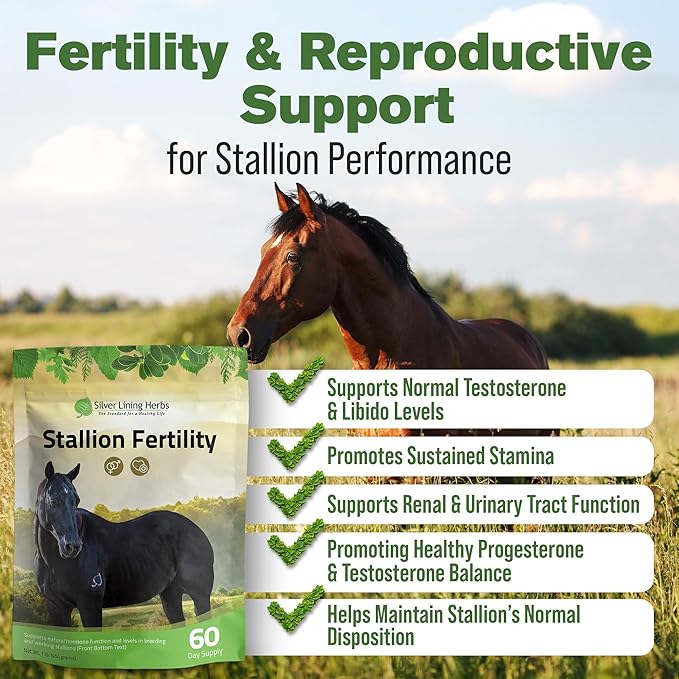 Silver Lining Herbs Stallion Fertility Supplements a Natural Libido & Energy Horse Supplement for Male Horses Help Keeps Stallions in Top Breeding Condition - Equine Herbal Horse Supplements - 1 lb