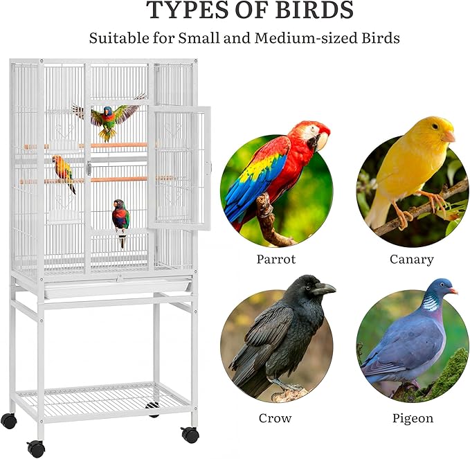 DWVO 53.9-Inch Metal Bird Cage: Large Parrot Cages with Seed Catcher & Cover - Rolling Stand with Brakes for Parakeets, Lovebirds, Cockatiels, Finches and Pigeons