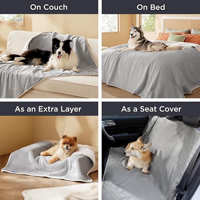 Bedsure Waterproof Dog Blankets for Medium Dogs - Medium Cat Blanket Washable for Couch Protection, Sherpa Fleece Puppy Blanket, Soft Plush Reversible Throw Furniture Protector, 30"X40", Light Grey