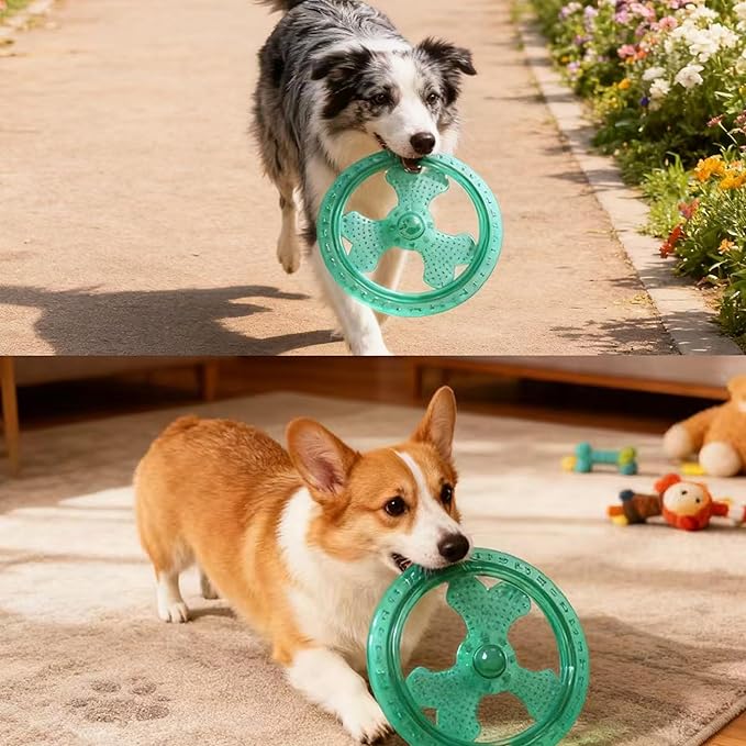 Dog Flying Disc, Outdoor Dog Toys, Dog Fetch Toy, Dog Toy for Medium Dogs and Large Dogs, Lightweight Soft Frisbee for Fetch, Tug of War, Catch, Play, 9 inch, Green