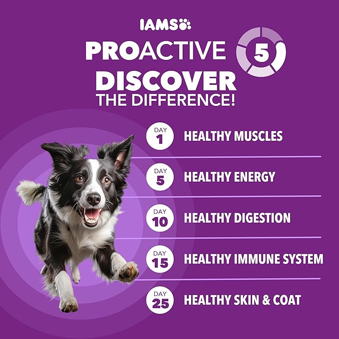 IAMS Advanced Health Skin & Coat Dry Dog Food, Adult Dog Food Dry Chicken and Salmon Recipe, 27 lb. Bag