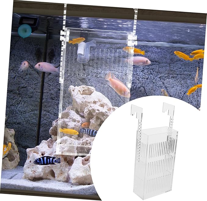 Breeding Box for Fish Tank Acrylic Isolation Container with View for Safe Fish Hatching Prevents Adult Easy to Clean for Breeding