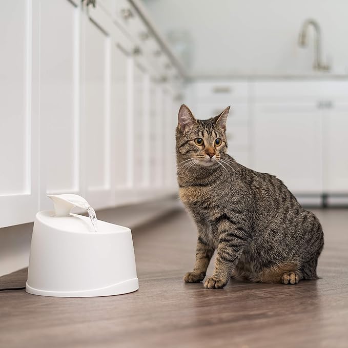 IRIS USA Cat Water Fountain, 44oz / 1.3L, Kitty Spout, Dog Fountain Water Bowl, Silent and Replaceable Charcoal Filter, White