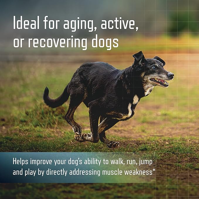 Virbac URSOLYX™ Soft Chews for Dogs | Muscle Health Support for Senior, Active or Recovering Dogs, Large Over 60lbs | 60 Count 2- Month Supply