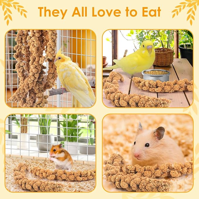 KATUMO 2LB Spray Millet Treat for Pet Birds, Natual Sun-Dried Bird Millet Parrot Food for Parakeet Budgie Cockatiel Finches Lovebird Conure Parrots Hamster
