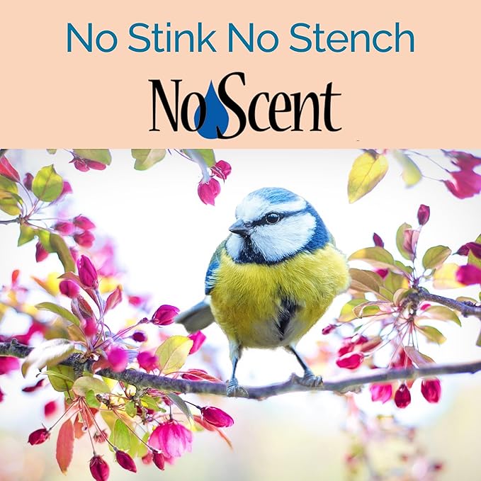 No Scent Bird Cage Cleaner Spray & Pet Odor Management, Natural Aviary Freshener (2 Fl Oz / 59 mL) Pack of 2