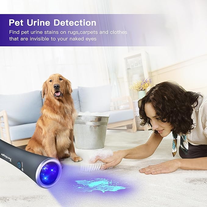 UV Flashlight Black Light, 365nm Blacklight Pet Urine Detector, Rechargeable Blacklight Flashlight for Dog/Cat Urine Stains, Bed Bug, Resin Curing, Scorpions Finder, Grey