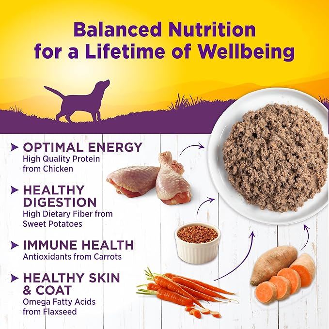 Wellness Complete Health Pate Adult Canned Wet Dog Food, Wholesome Grains, Natural, Chicken and Sweet Potato, 12.5 oz, Pack of 12 Cans
