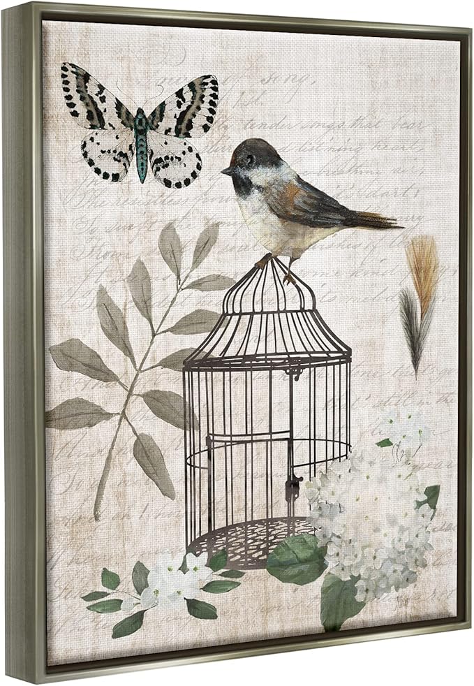 Stupell Industries Botanical Bird Cage Vintage Words Butterfly Motif Floating Framed Wall Art, Design By Nan