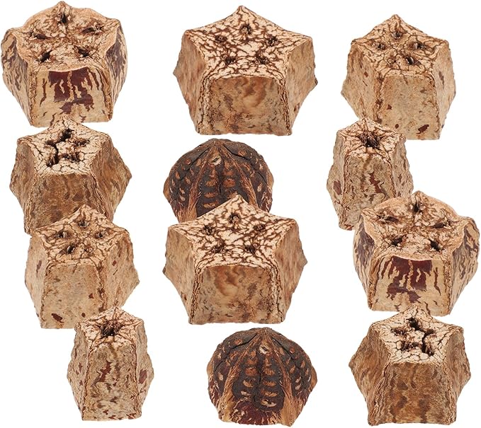 12pcs Natural Parrot Chewing for Budgie Parakeet Bird Foraging Accessories with Crunchy Texture Healthy Beak Grinding to Prevent Furniture Damage and Loneliness
