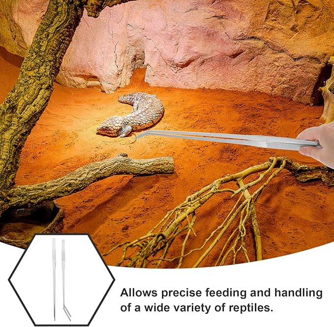 2pcs Extra Large Reptile Feeding Tongs Handle Tweezers for Aquariums Non- Metal Feeding Clip for Lizard Scorpion Practical Tool