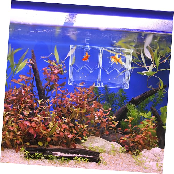 Hatching Incubator Box Aquarium Breeding Accessory Isolation Tank for Aggressive Injured Fish Plastic Material