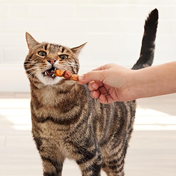 Good ‘n’ Tasty Triple Flavor Kabobs Cat Treat, 1.4 Ounce Bag, Long-Lasting Playtime Treat for Cats Made with Real Chicken, Salmon & Tuna