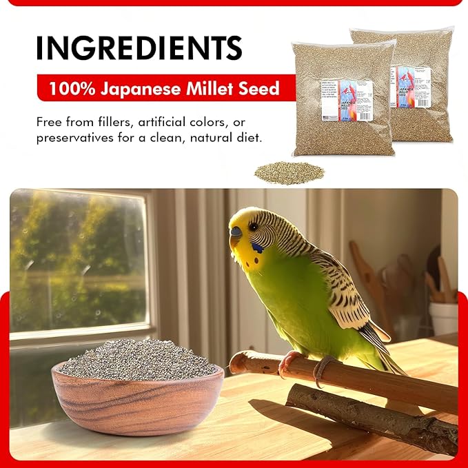 Morning Bird Japanese Millet Seed Bag 18 lbs (2-Pack, 9 lbs Each) - Healthy & Nutritious Pet Bird Food to Support Health & Immunity – Ideal Bird Feed for All Seed-Eating Birds